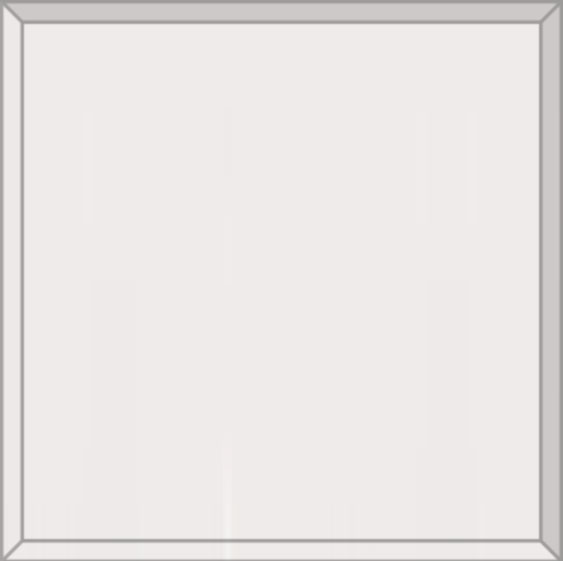 Flat Panel